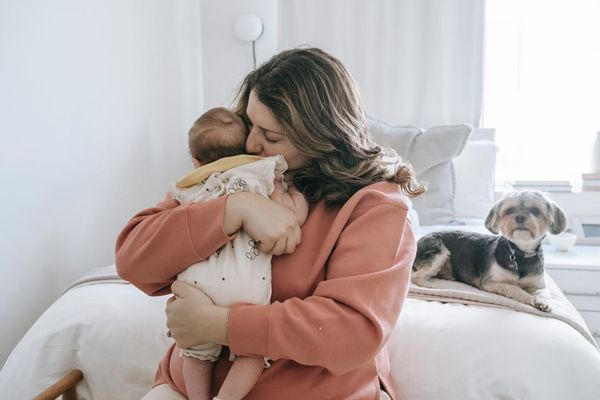 בריאות השיניים של הכלב שלך: כמה זמן אמור לחלוף בין כל מצחצחת?